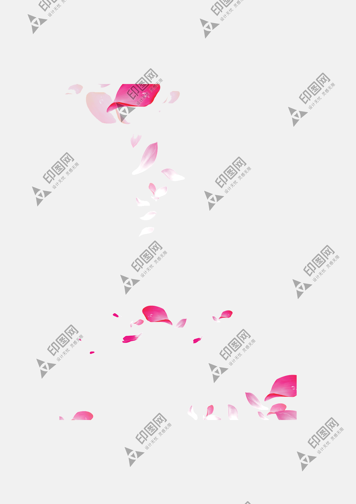 花瓣PNG素材