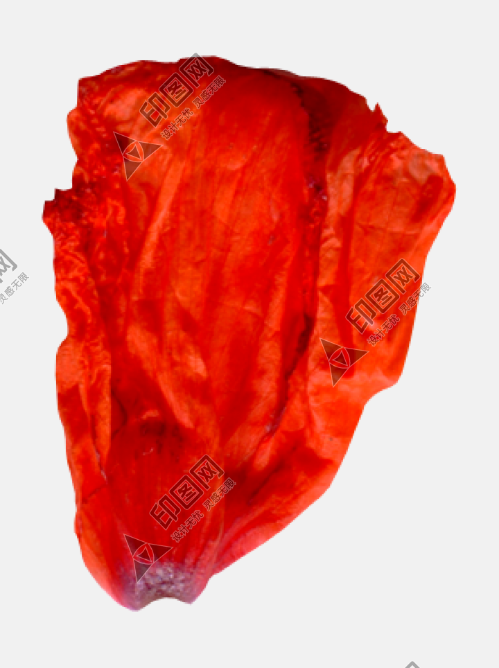 花瓣PNG素材