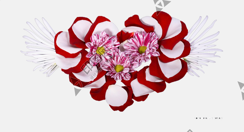 花瓣P(guān)NG素材