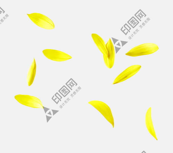 花瓣PNG素材