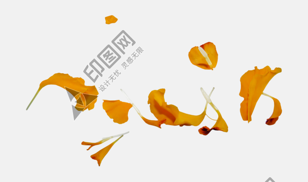 花瓣PNG素材