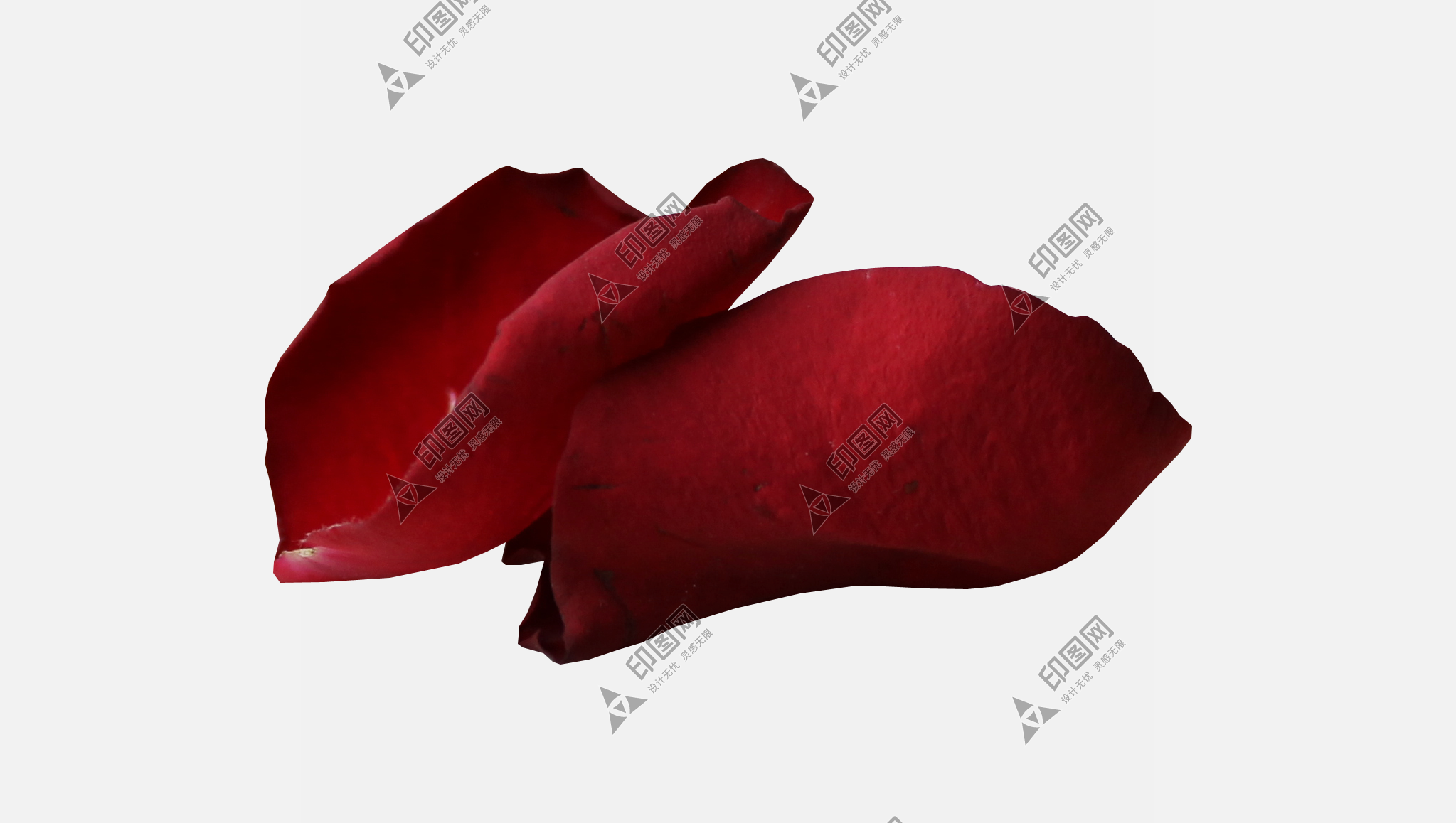 花瓣PNG素材