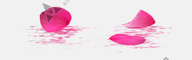 花瓣PNG素材