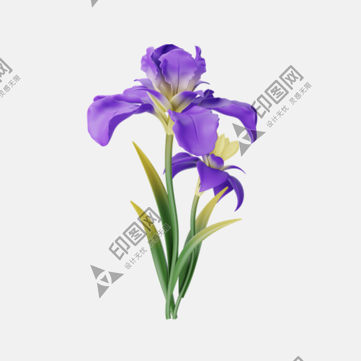 花瓣PNG素材