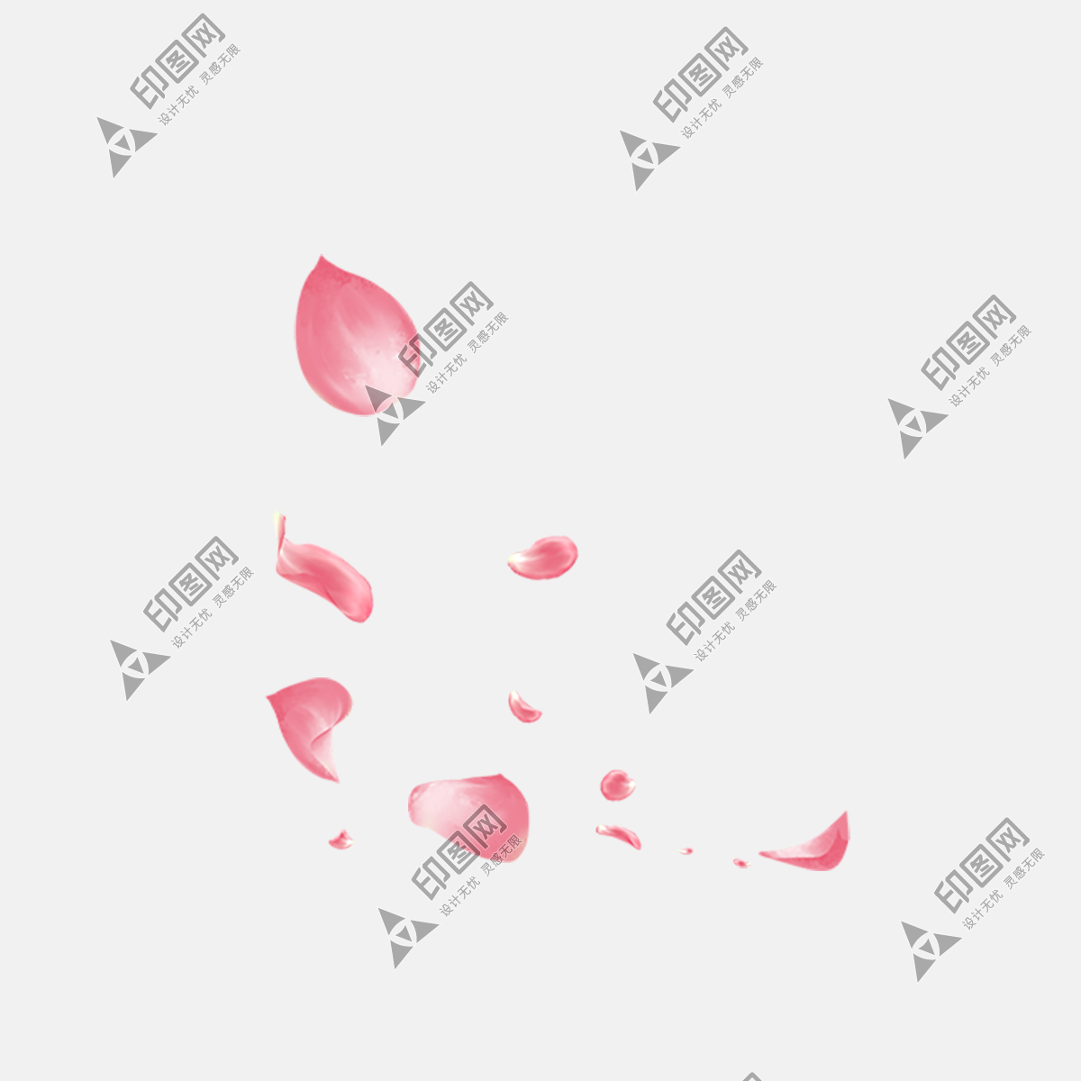 粉色玫瑰花花瓣
