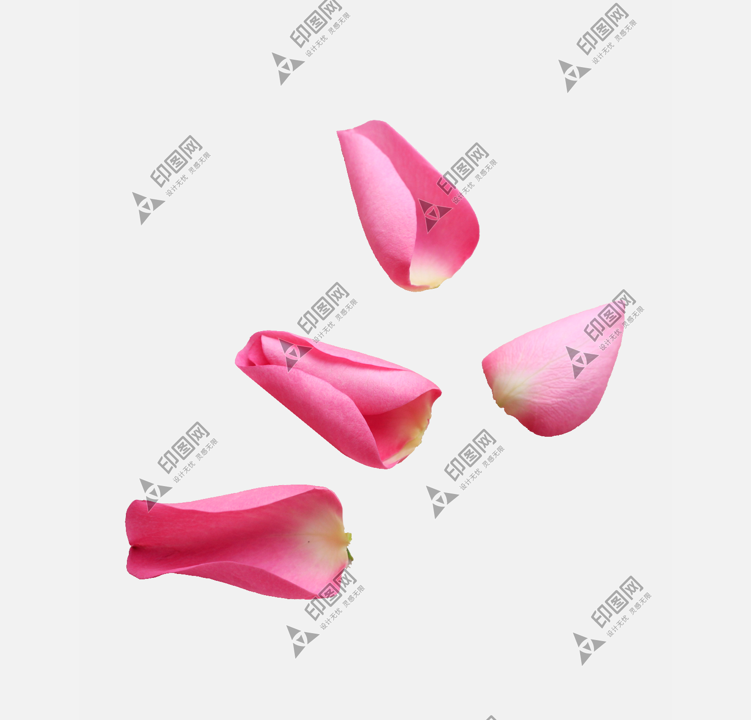 花瓣PNG素材