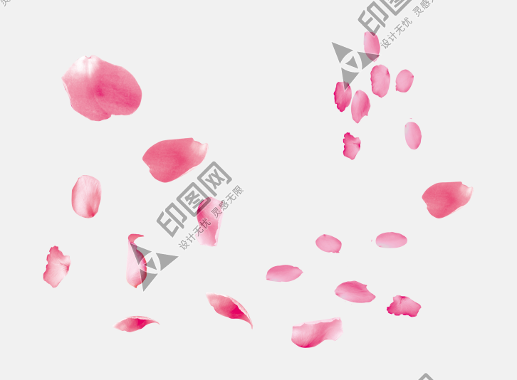 花瓣P(guān)NG素材