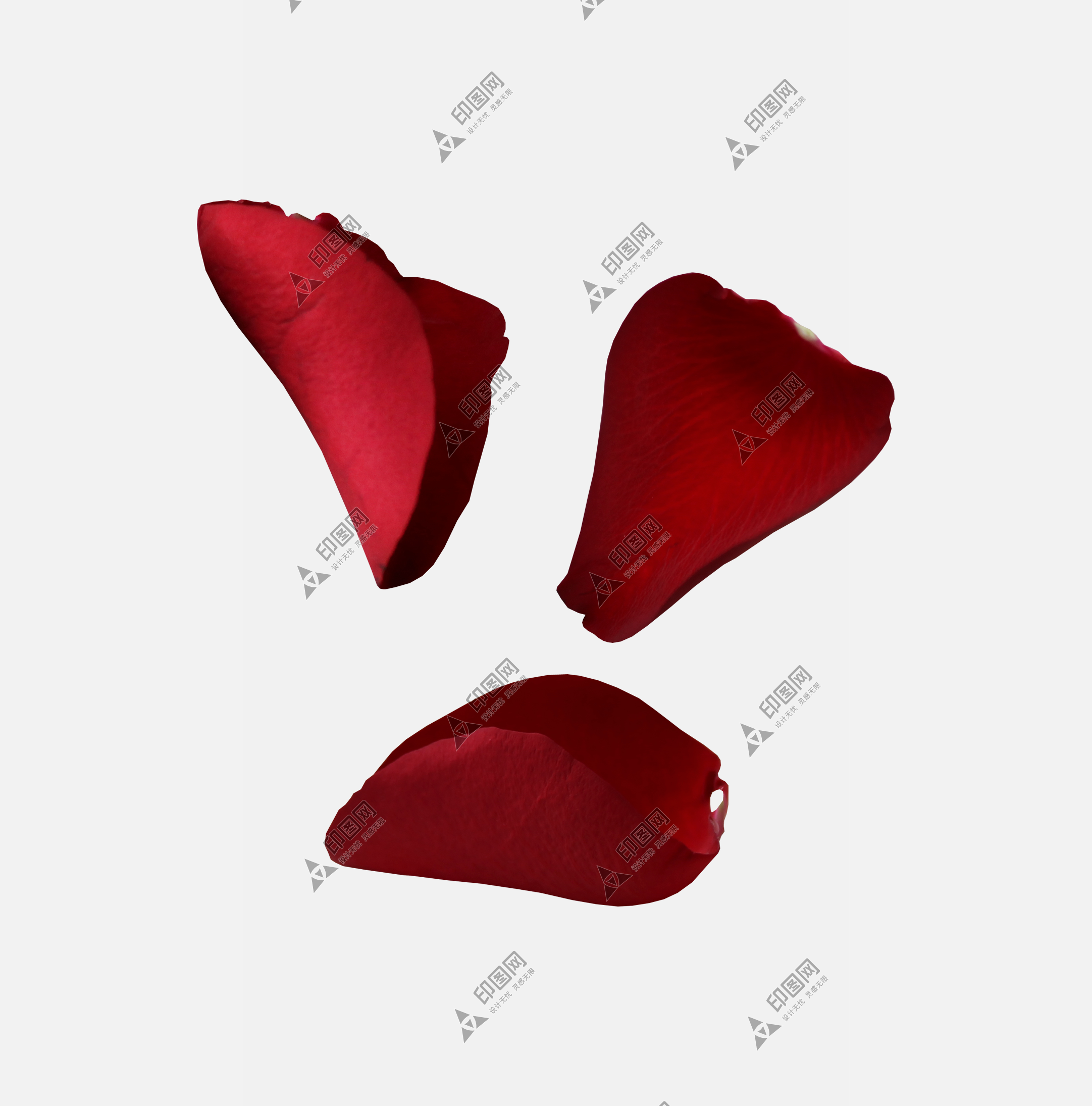 花瓣PNG素材