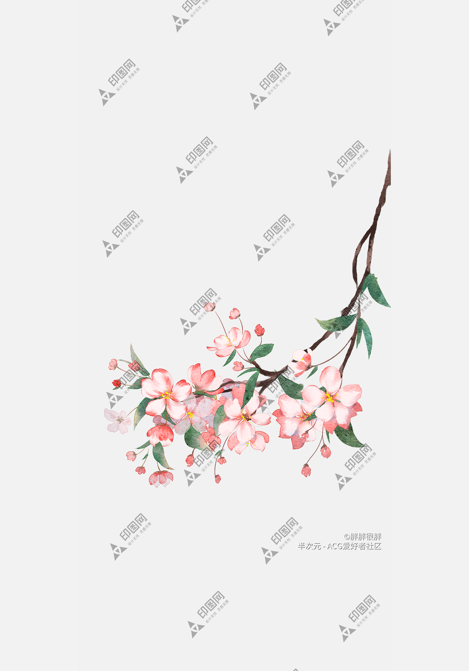 花瓣PNG素材