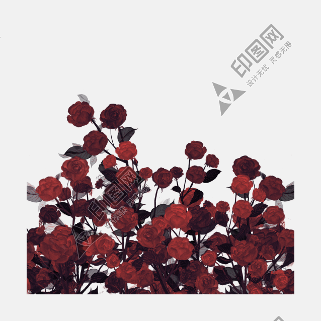 花瓣PNG素材