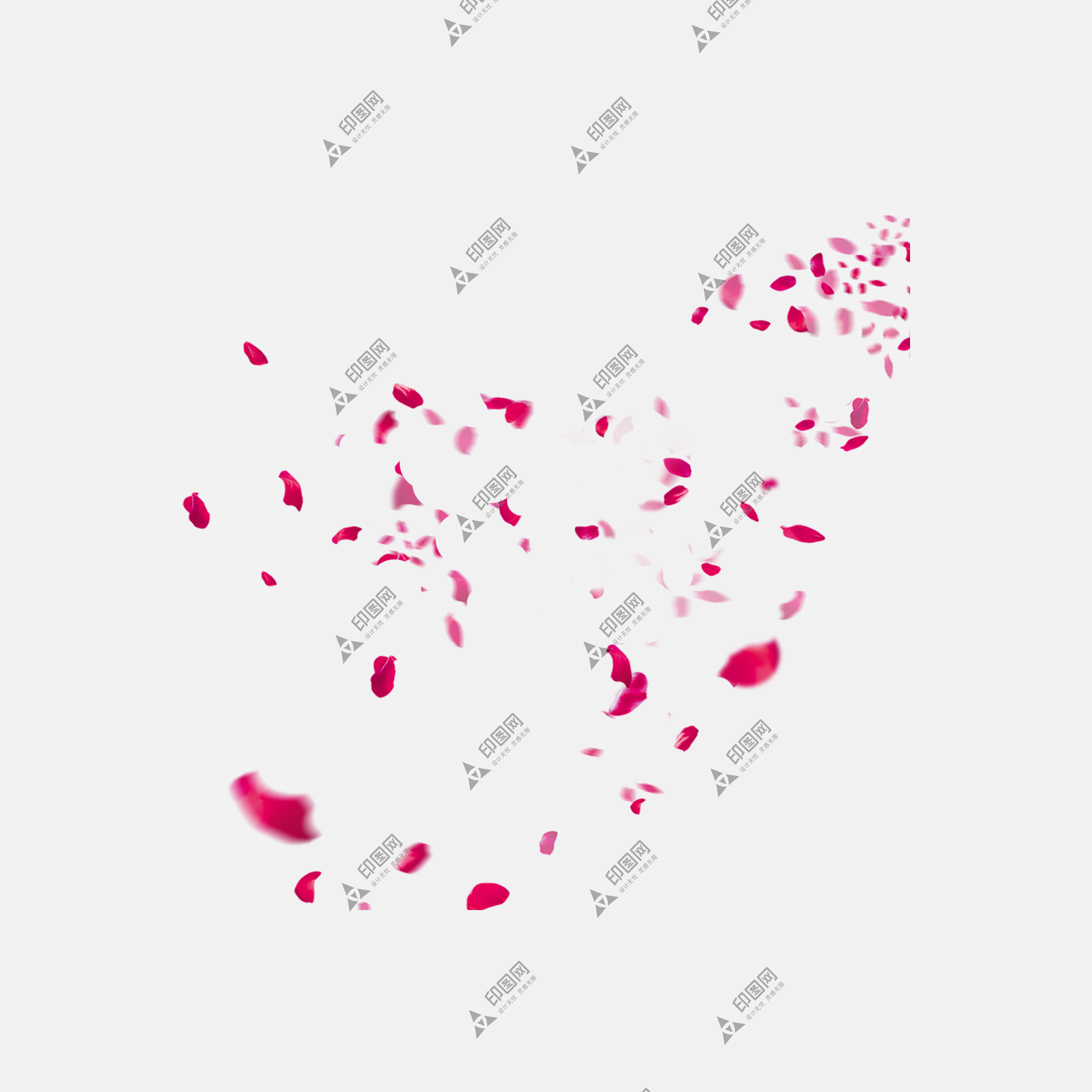 花瓣PNG素材
