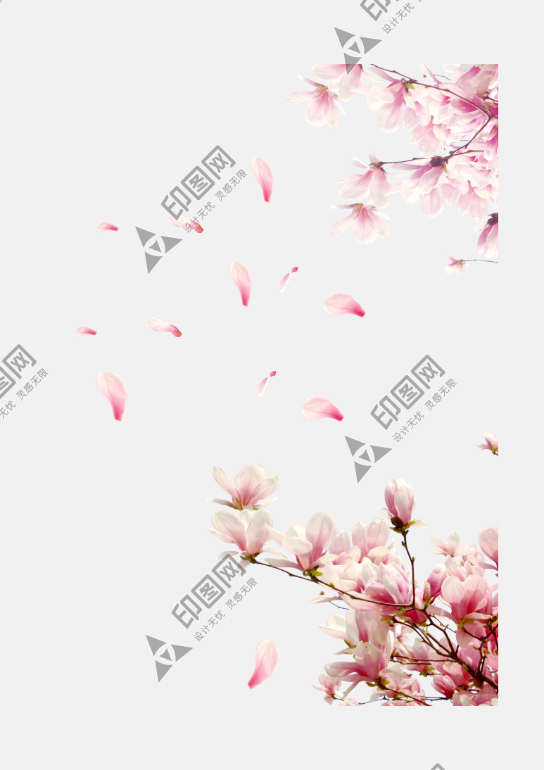 花瓣PNG素材