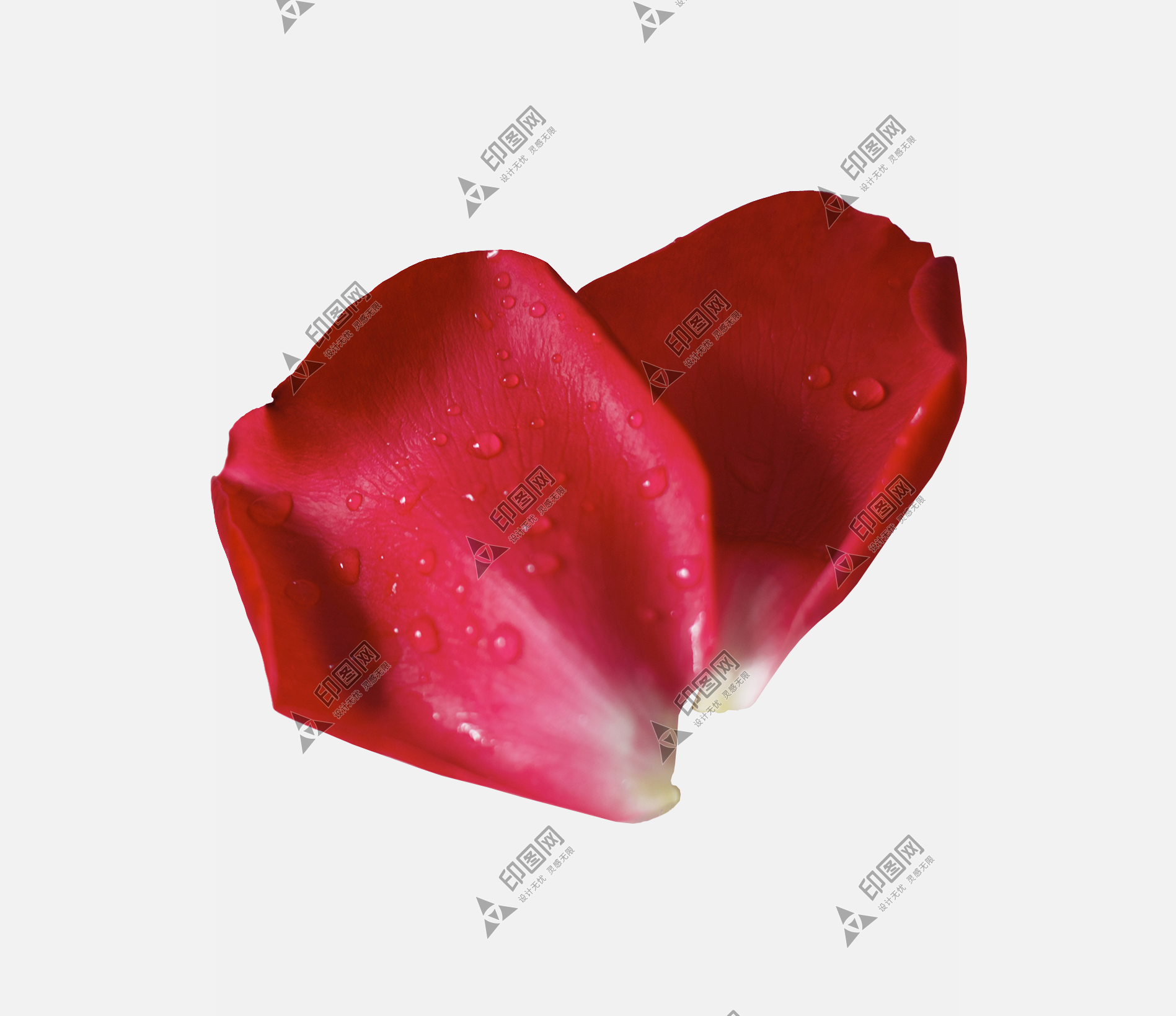 花瓣PNG素材