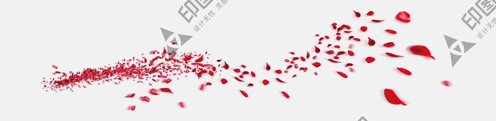 花瓣PNG素材
