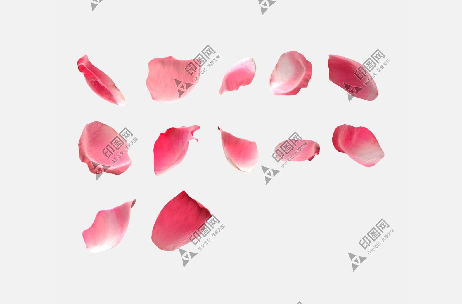 花瓣P(guān)NG素材