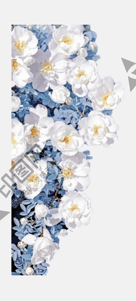 花瓣PNG素材