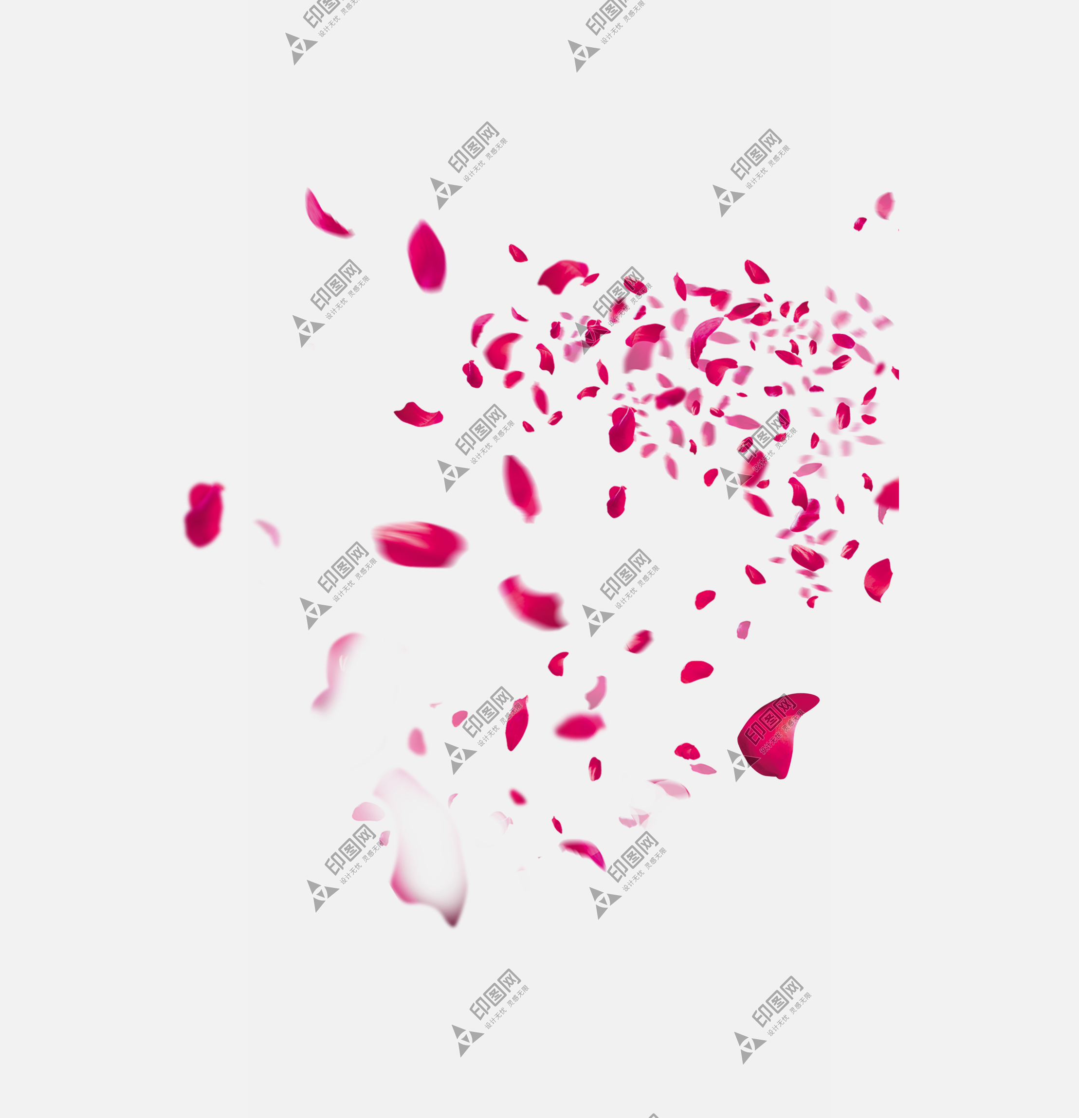 花瓣P(guān)NG素材