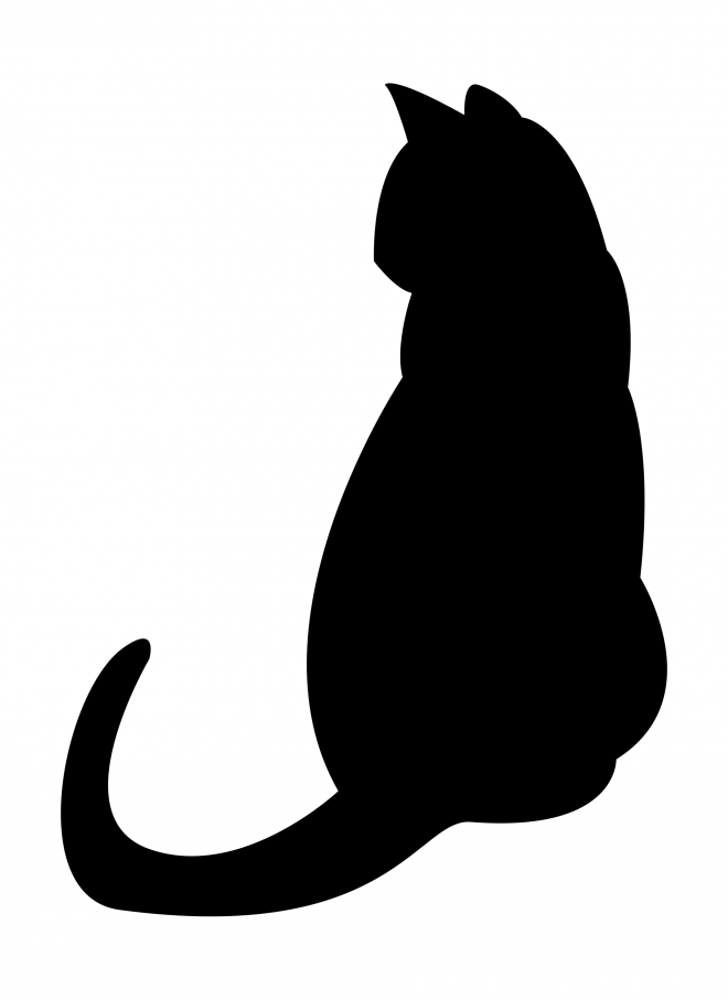 貓_貓咪_小貓_cat_PNG50522