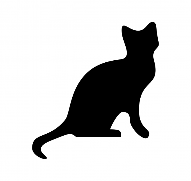 貓_貓咪_小貓_cat_PNG50490