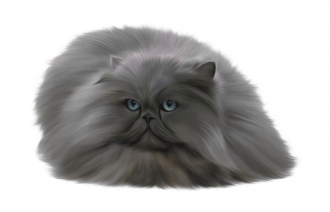 貓_貓咪_小貓_cat_PNG50537
