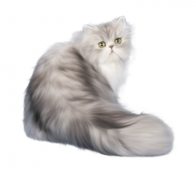 貓_貓咪_小貓_cat_PNG50528