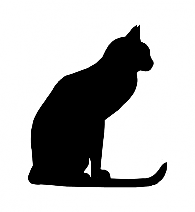 貓_貓咪_小貓_cat_PNG50523
