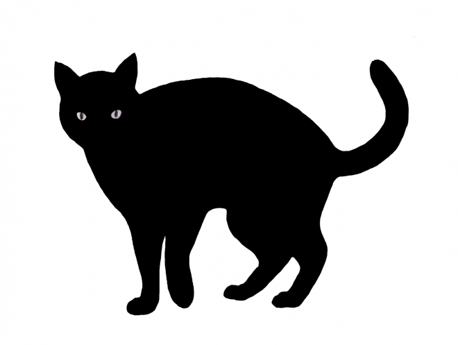 貓_貓咪_小貓_cat_PNG50510
