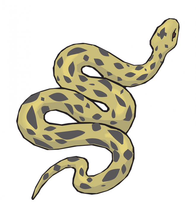 蟒蛇_(dá)anaconda_大蛇_(dá)anaconda