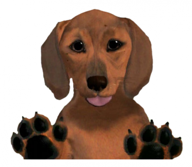 臘腸狗_獵獾狗_狗_dachshund_dachshund