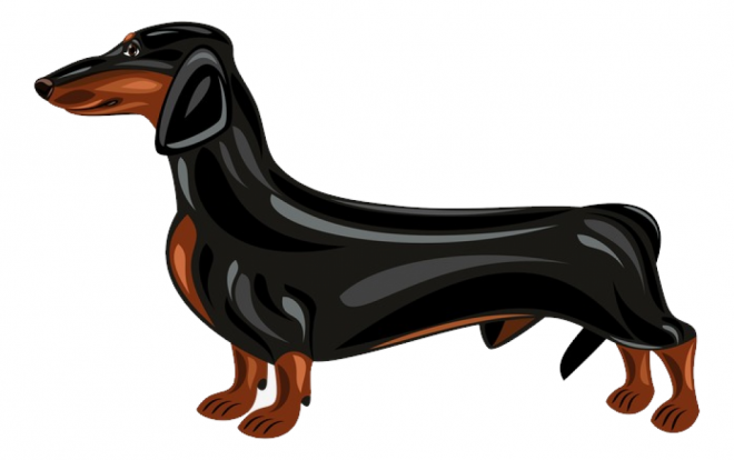 臘腸狗_獵獾狗_狗_dachshund_dachshund