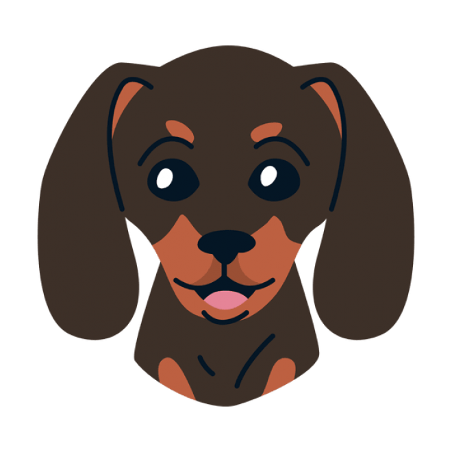 臘腸狗_獵獾狗_狗_dachshund_dachshund