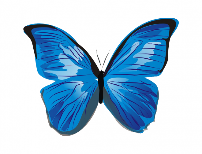 昆虫_蝴蝶_蛱蝶_浮蝶儿_butterfly_butterfly