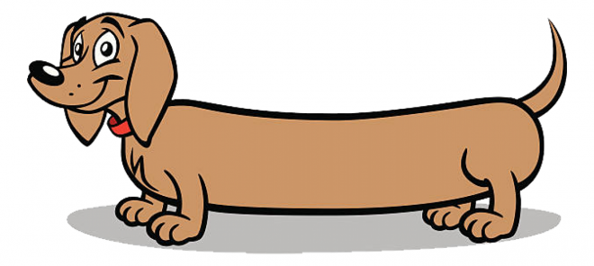 臘腸狗_獵獾狗_狗_dachshund_dachshund