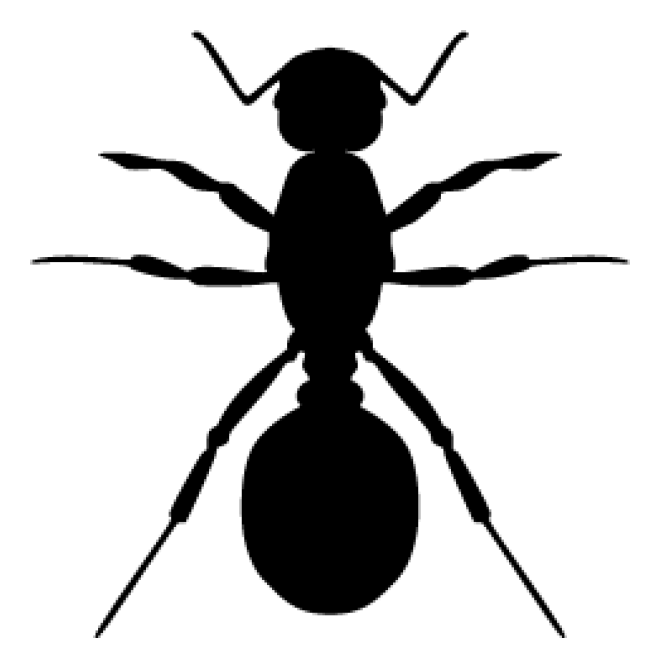 蚂蚁_玄驹_蚍蜉蚂_昆虫_ant_ant