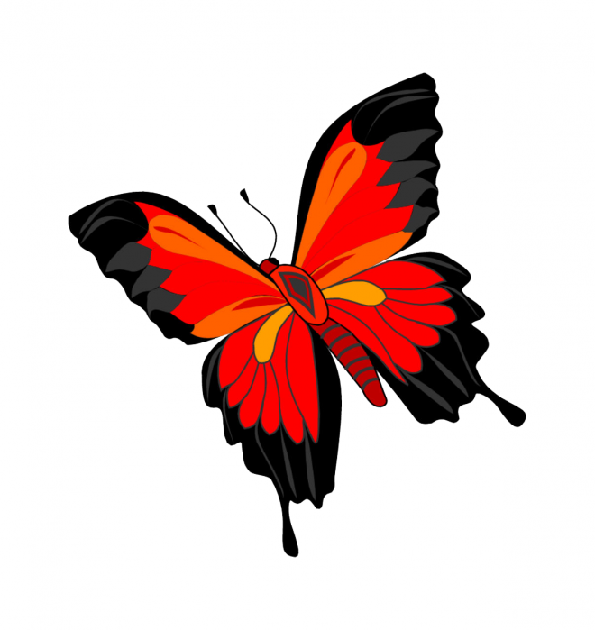 昆虫_蝴蝶_蛱蝶_浮蝶儿_butterfly_butterfly