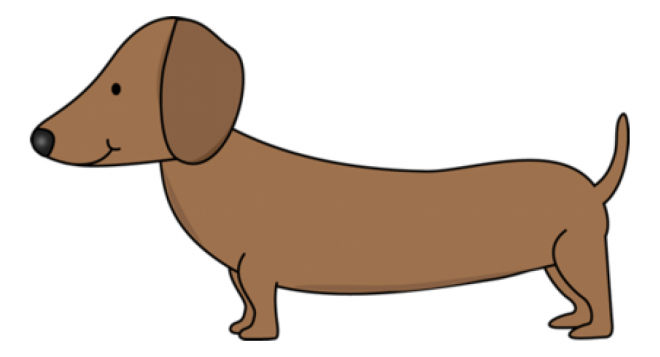 臘腸狗_獵獾狗_狗_dachshund_dachshund