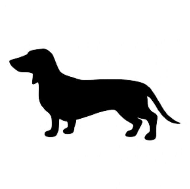 臘腸狗_獵獾狗_狗_dachshund_dachshund