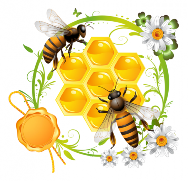 昆虫_蜜蜂_bee_bee