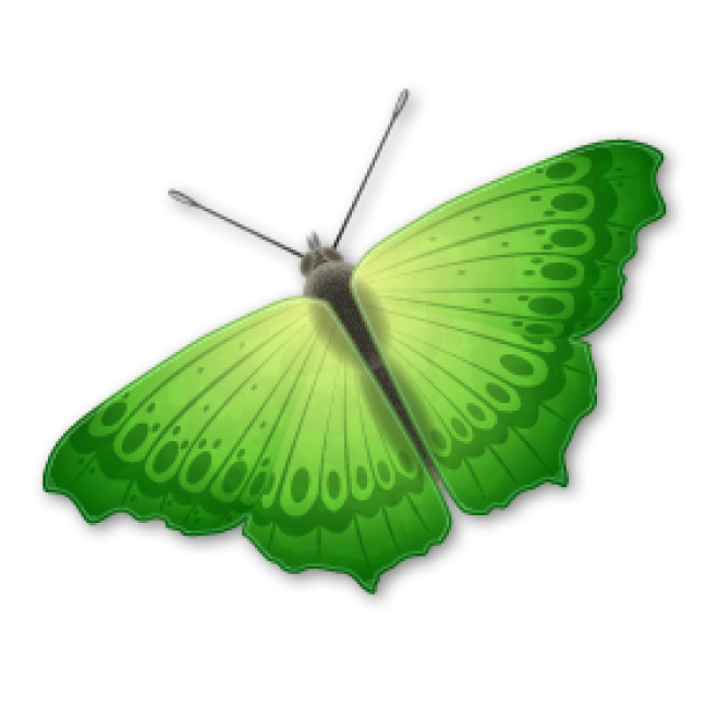 昆虫_蝴蝶_蛱蝶_浮蝶儿_butterfly_butterfly