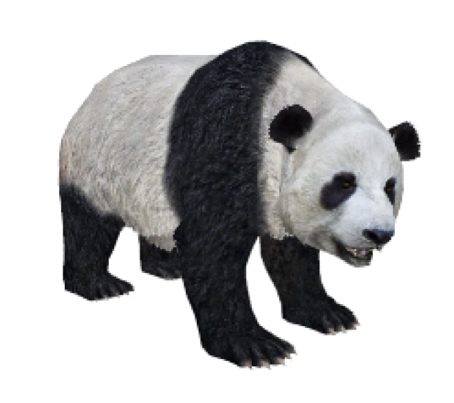 熊_熊貓_貓熊_竹熊_panda_panda
