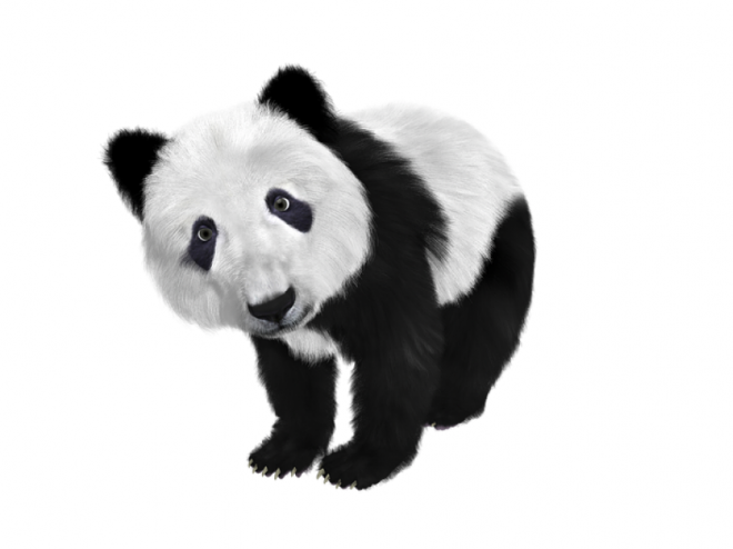 熊_熊貓_貓熊_竹熊_panda_panda