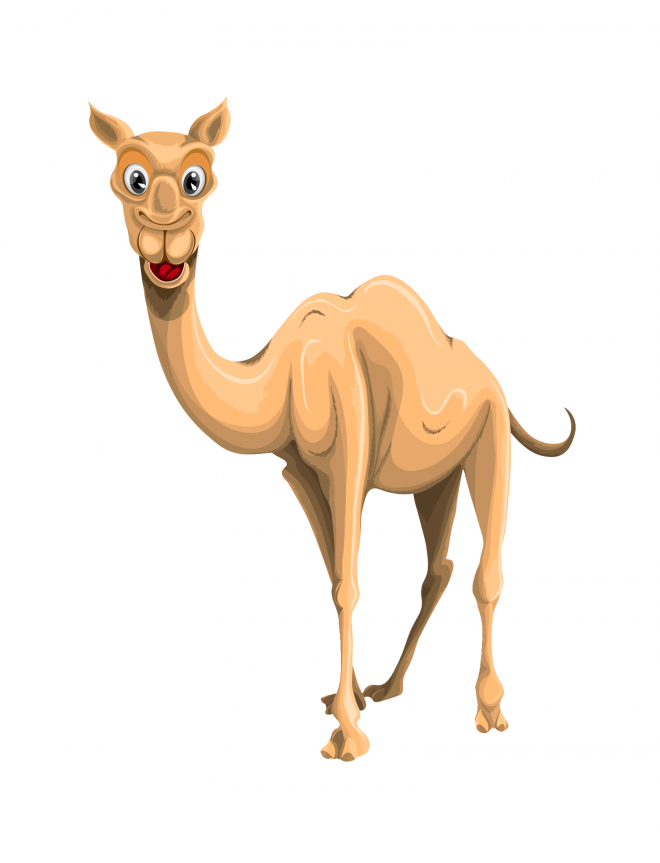 駱駝_沙漠之舟_camel_camel