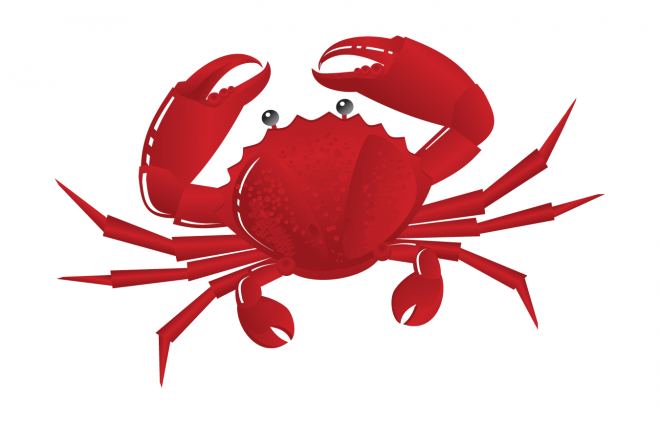 螃蟹_蟹_crab_crab