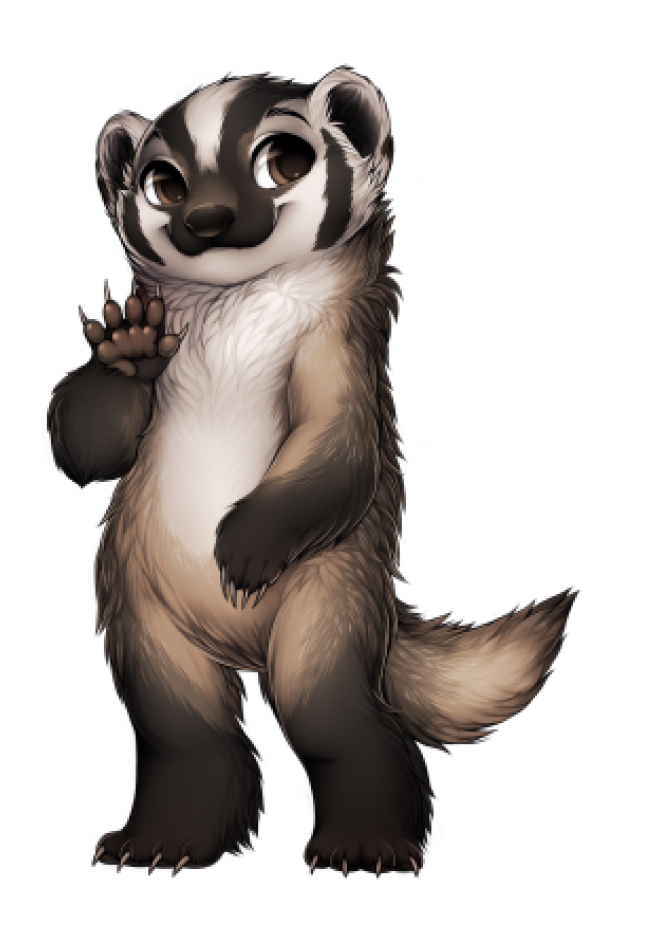 獾_badger_badger