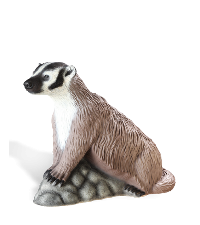 獾_badger_badger