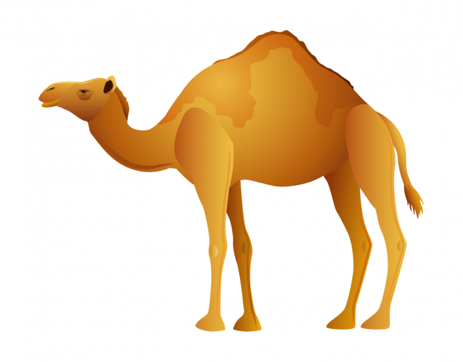 駱駝_沙漠之舟_camel_camel