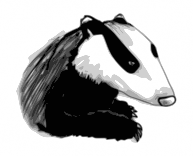 獾_badger_badger