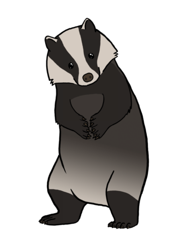 獾_badger_badger