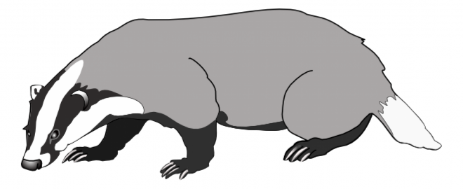 獾_badger_badger
