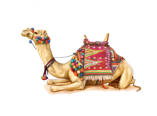 駱駝_沙漠之舟_camel_camel